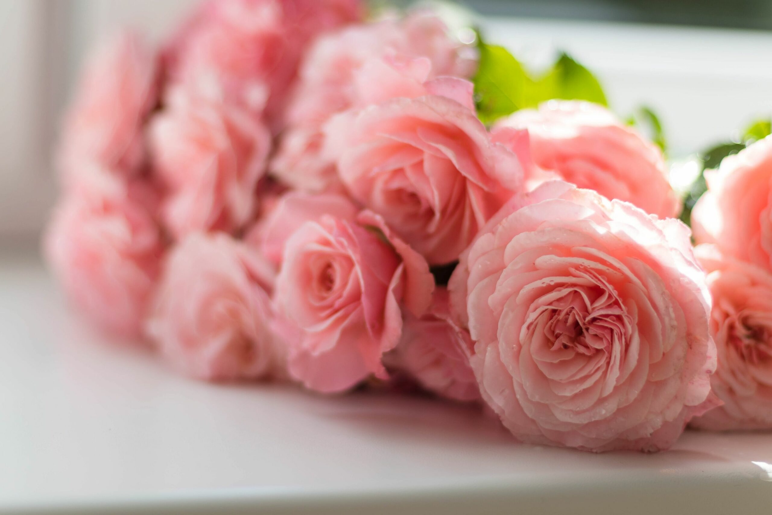 Blumenschmuck Rosen Canva