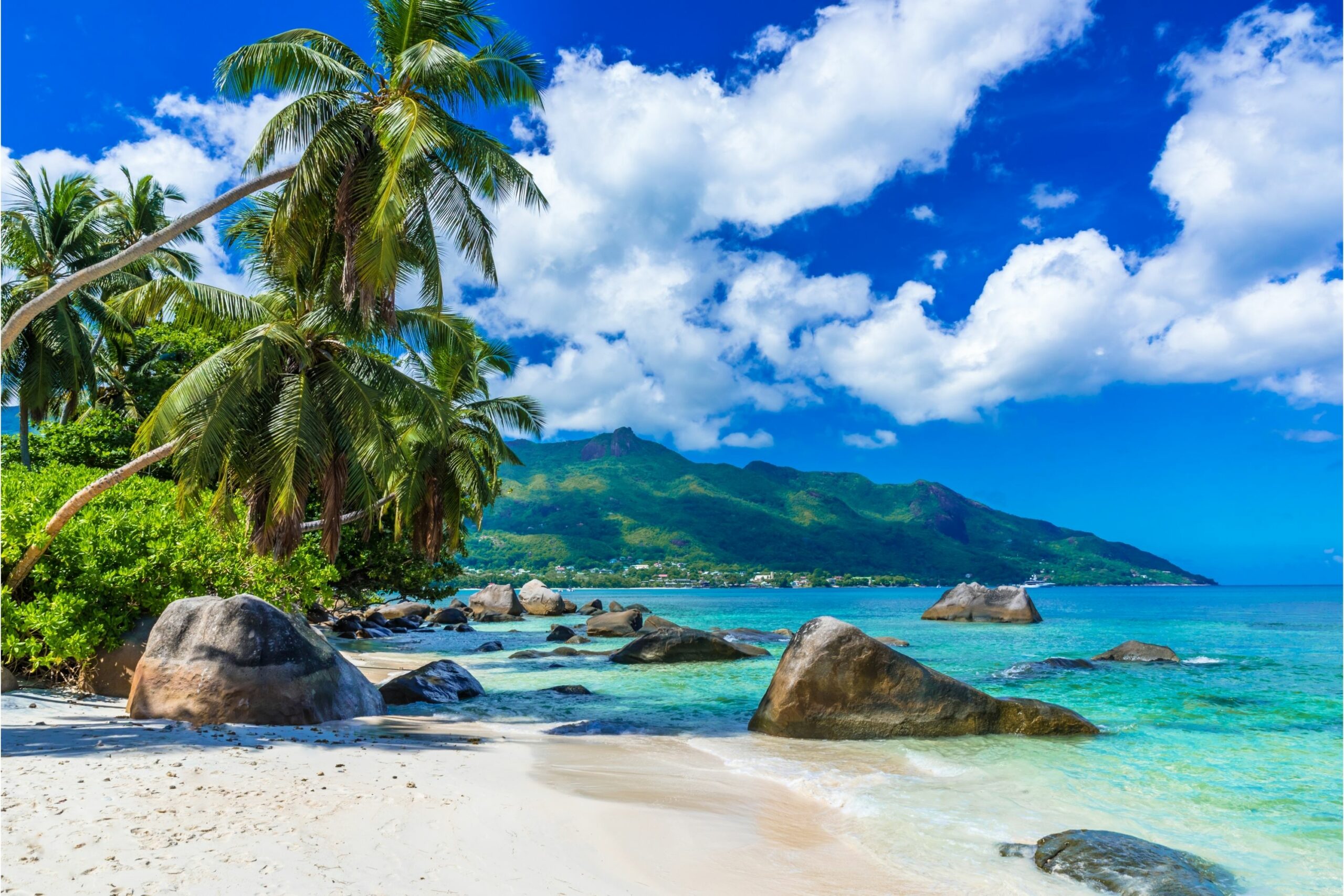 Flitterwochen Seychellen Canva (1)